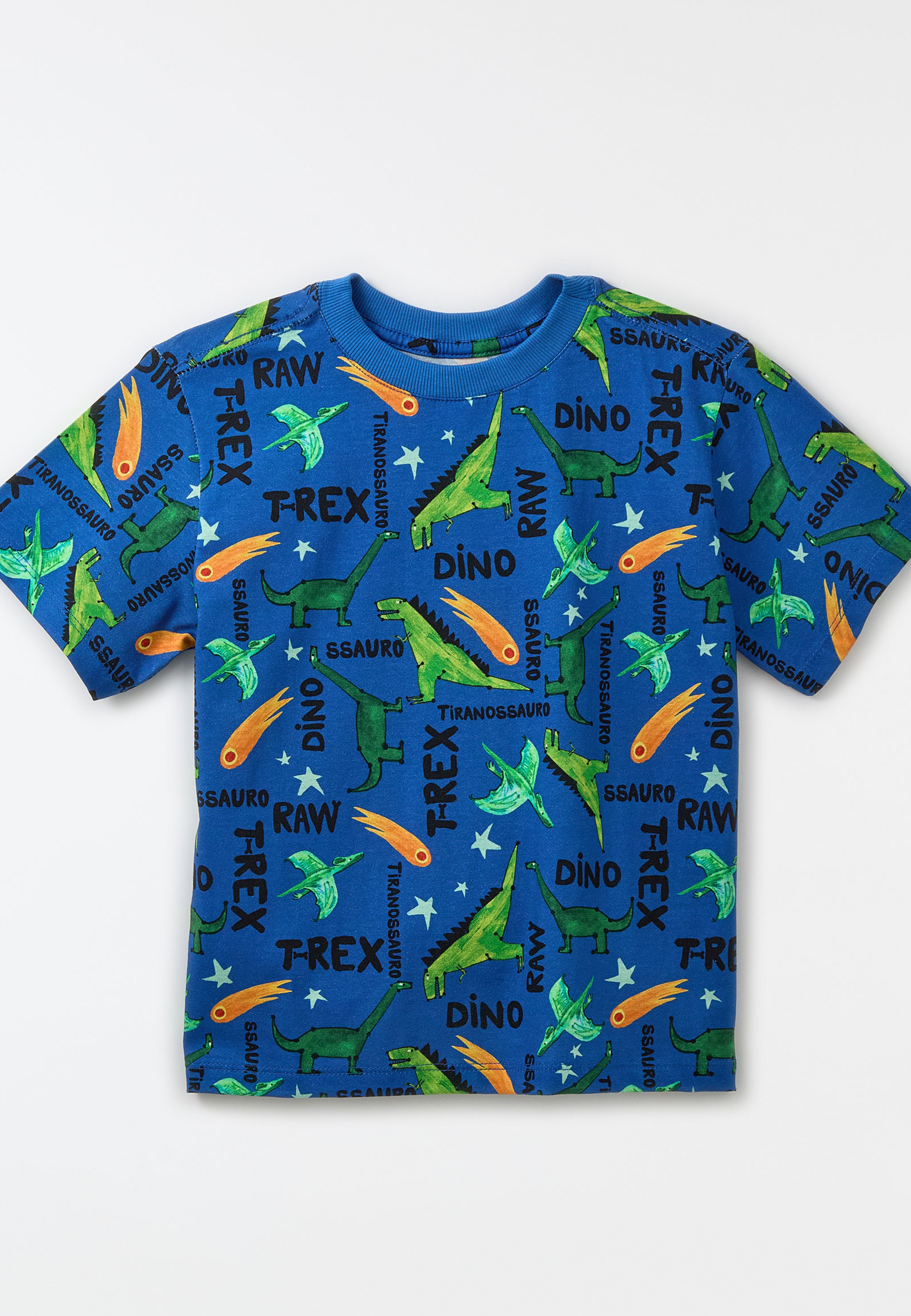 Camiseta Malha Dinos