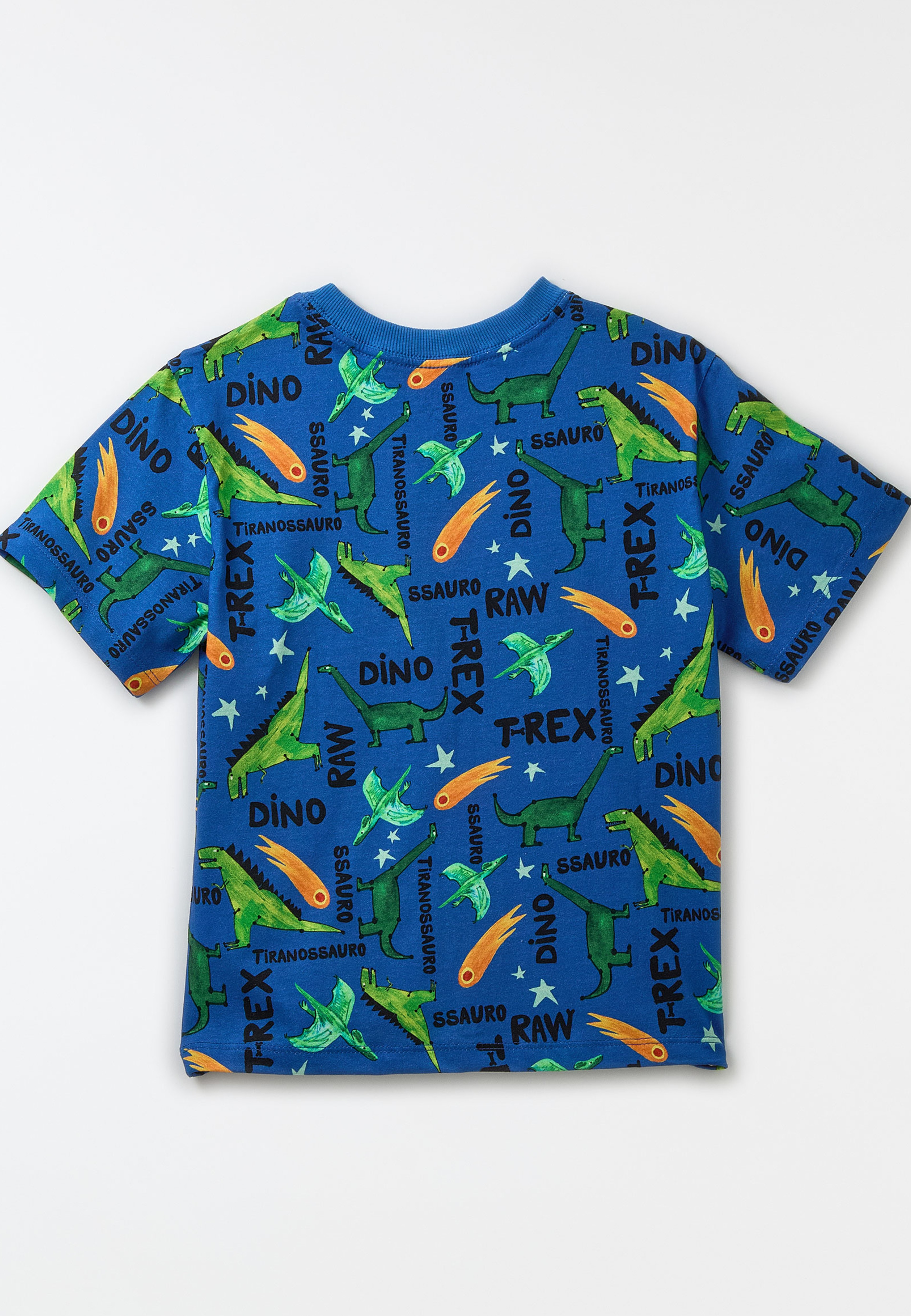 Camiseta Malha Dinos
