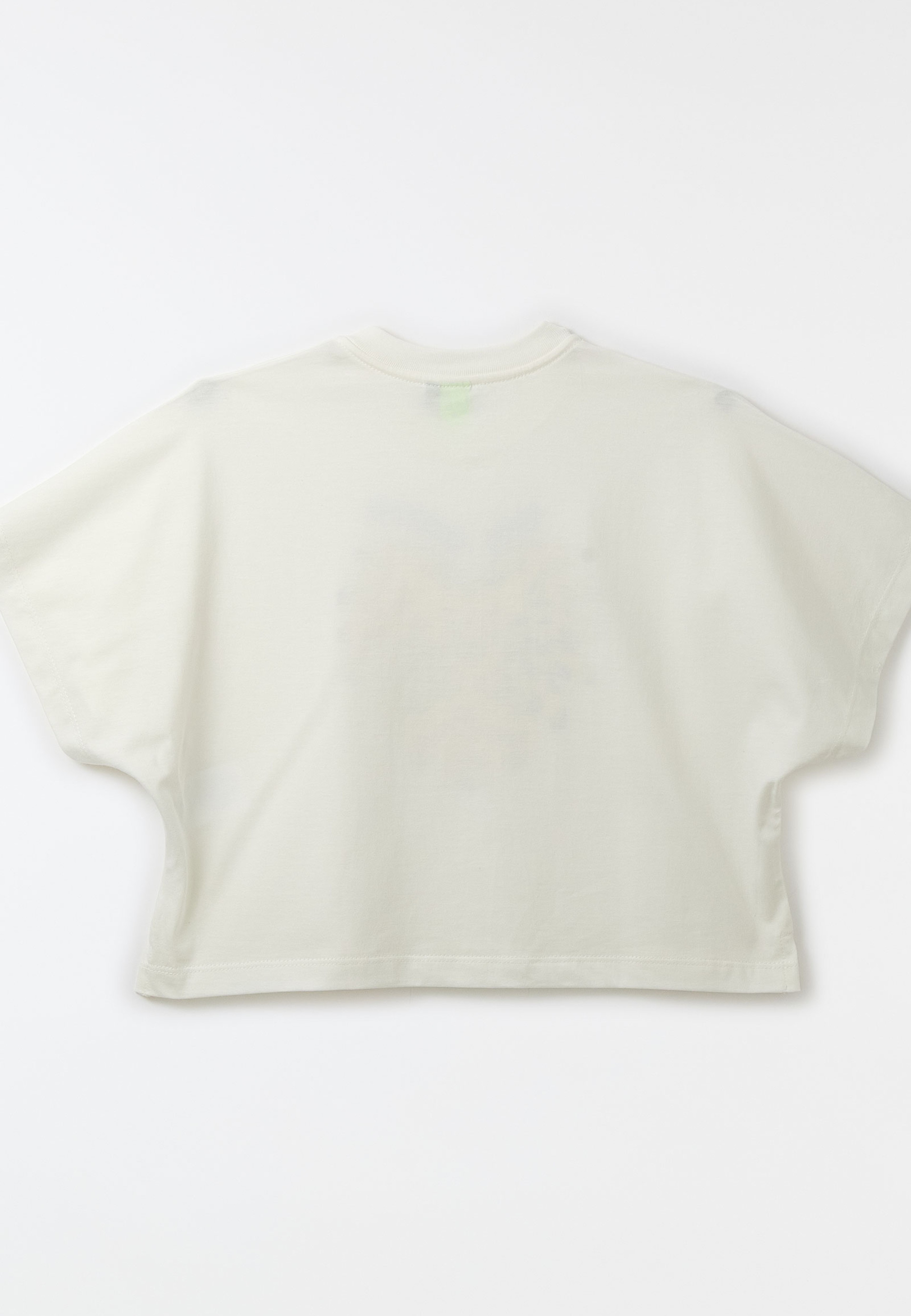 Camiseta Silk Amor Tropical
