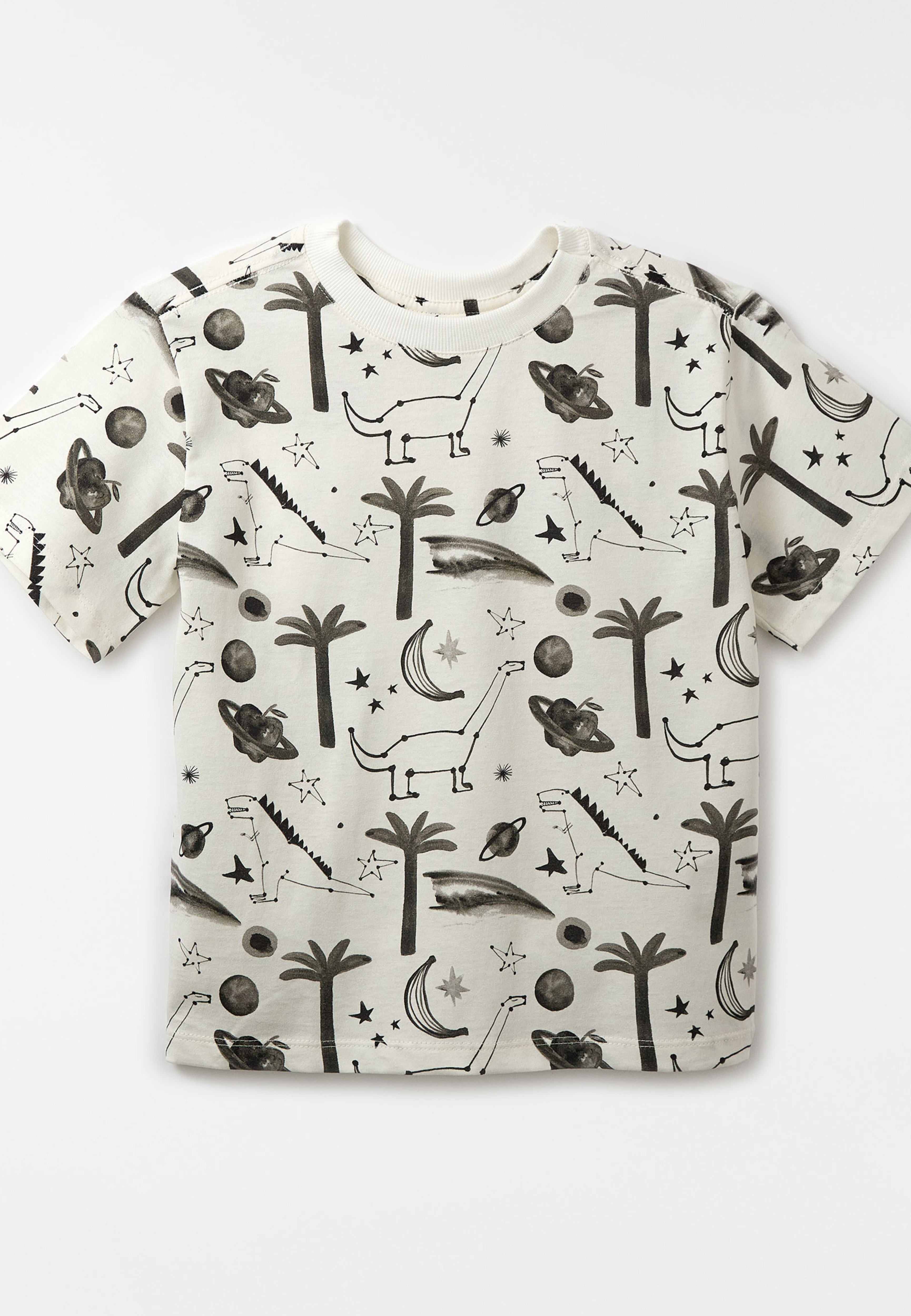 Camiseta Malha Noite Do Dino Pb